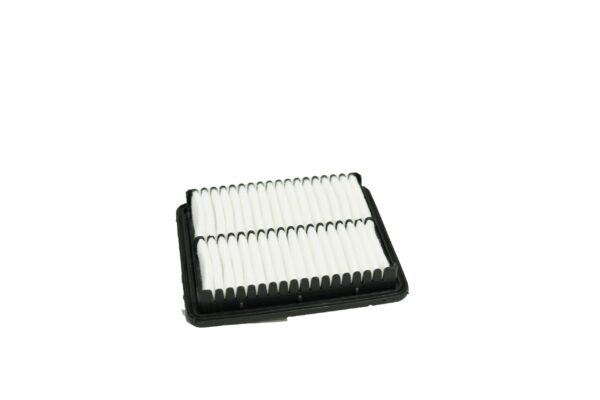 AIR FILTER FOR EON